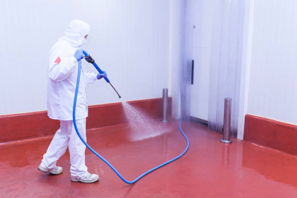 Best Graffiti Removal  in Central, TN